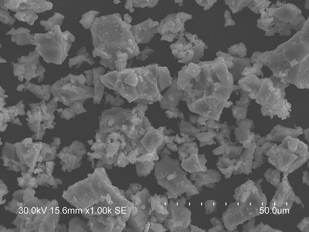 Microscopía electrónica (1)